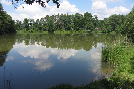 Von Winkelhaid zum Moritzberg &ndash; (29.06.2016, schreibwerk &copy;&nbsp;schreibwerk)