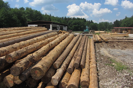 Sägewerk &ndash; (29.06.2016, schreibwerk &copy;&nbsp;schreibwerk)