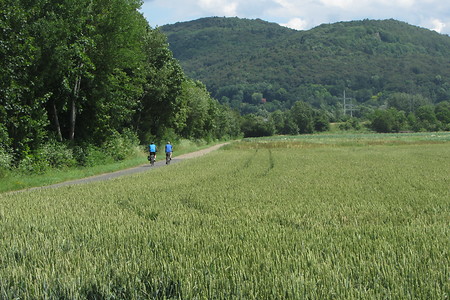 Von Ottensoos nach Hartmannshof &ndash; (29.06.2016, schreibwerk &copy;&nbsp;schreibwerk)