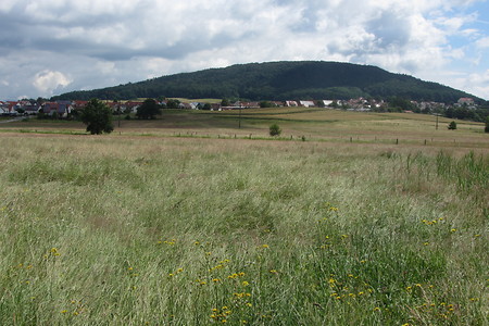 Moritzbergblick &ndash; (29.06.2016, schreibwerk &copy;&nbsp;schreibwerk)