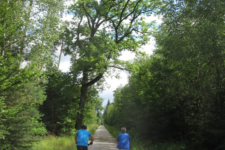 Immer weiter... &ndash; (29.06.2016, schreibwerk &copy;&nbsp;schreibwerk)