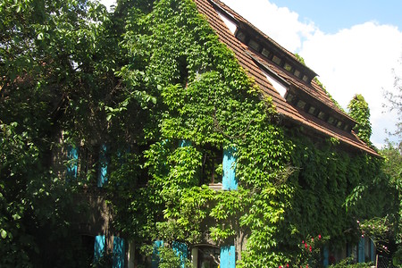 Grünes Haus &ndash; (29.06.2016, schreibwerk &copy;&nbsp;schreibwerk)