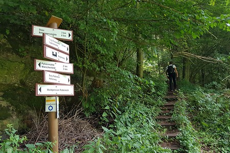 Aufsteig Burg Rabeneck &ndash; (18.08.2019, S. Dassler &copy;&nbsp;VGN GmbH)