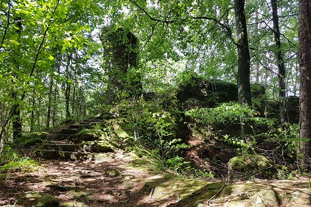 Felsen &ndash; (18.08.2019, S. Dassler &copy;&nbsp;VGN GmbH)