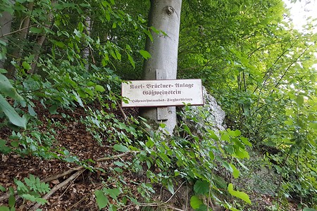 Karl-Brückner-Steig &ndash; (23.08.2019, S. Dassler &copy;&nbsp;VGN GmbH)