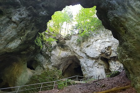Versturzhöhle Riesenburg &ndash; (18.08.2019, S. Dassler &copy;&nbsp;VGN GmbH)