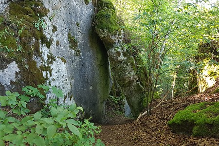 Felsenweg &ndash; (23.08.2019, S. Dassler &copy;&nbsp;VGN GmbH)