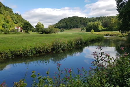 Wiesent Flusslauf &ndash; (18.08.2019, S. Dassler &copy;&nbsp;VGN GmbH)