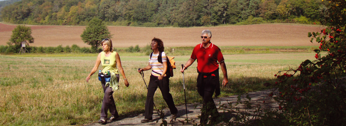 Im Daschendorfer Forst &ndash;  (VGN, Stadt Bamberg, Markt Zapfendorf &copy;&nbsp;VGN GmbH, Stadt Bamberg, Markt Zapfendorf)