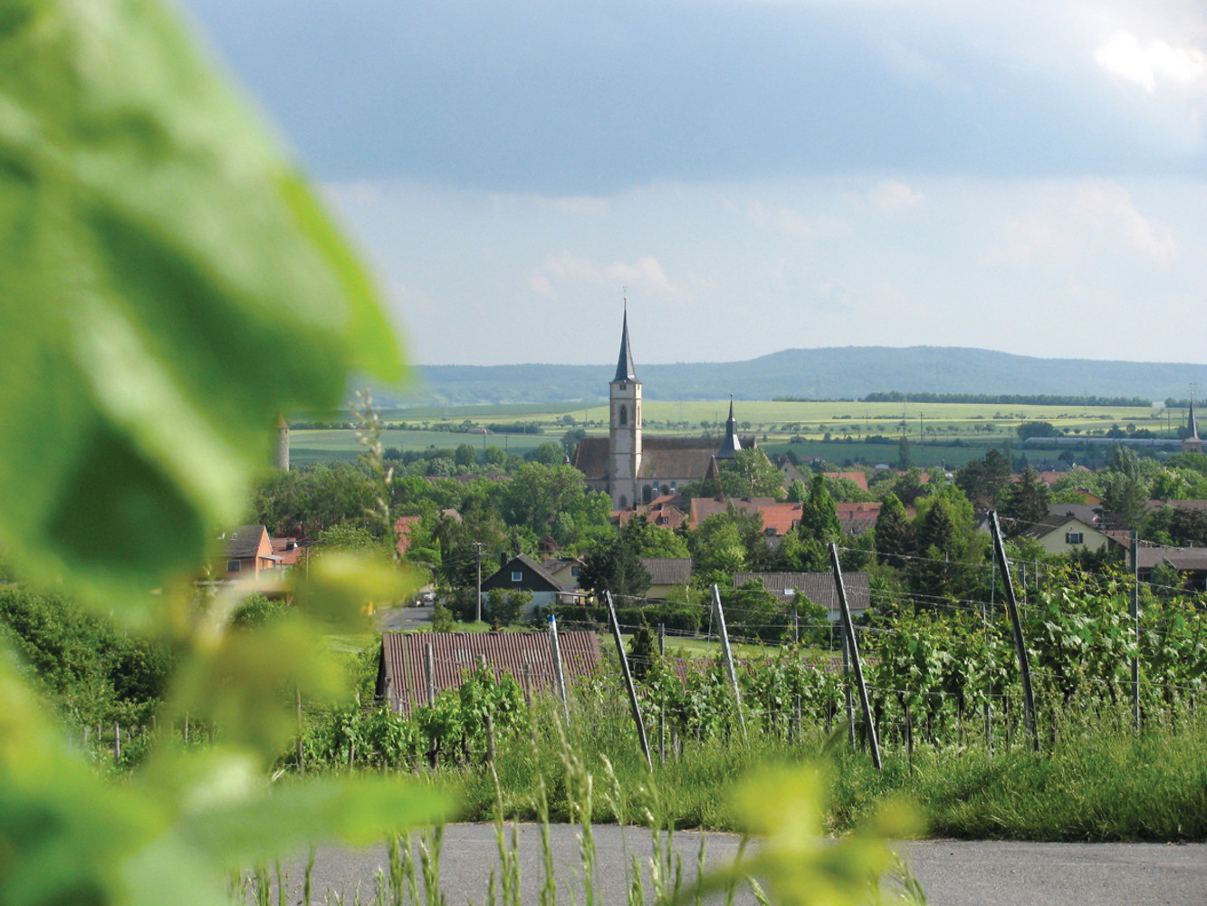 Stadtpfarrkirche St. Veit &ndash;  (22.05.2009, Stadt Iphofen, VGN &copy;&nbsp;Stadt Iphofen, VGN GmbH)