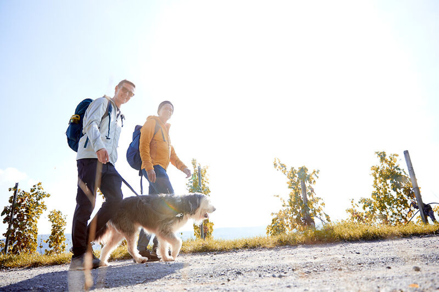 Wohlauf, die Luft geht frisch und rein ... Weinwandern in Abt-Degen. &ndash;  (&copy;&nbsp;VGN/A. Gaspar-Klein)