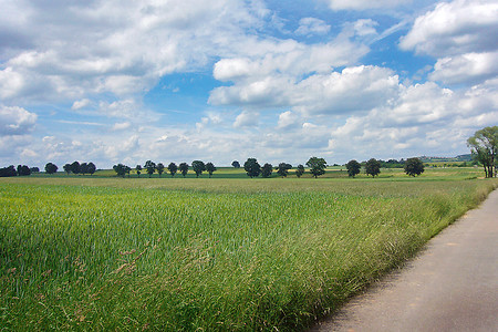 Altenstein &ndash; (13.06.2013, up3 &copy;&nbsp;up3)