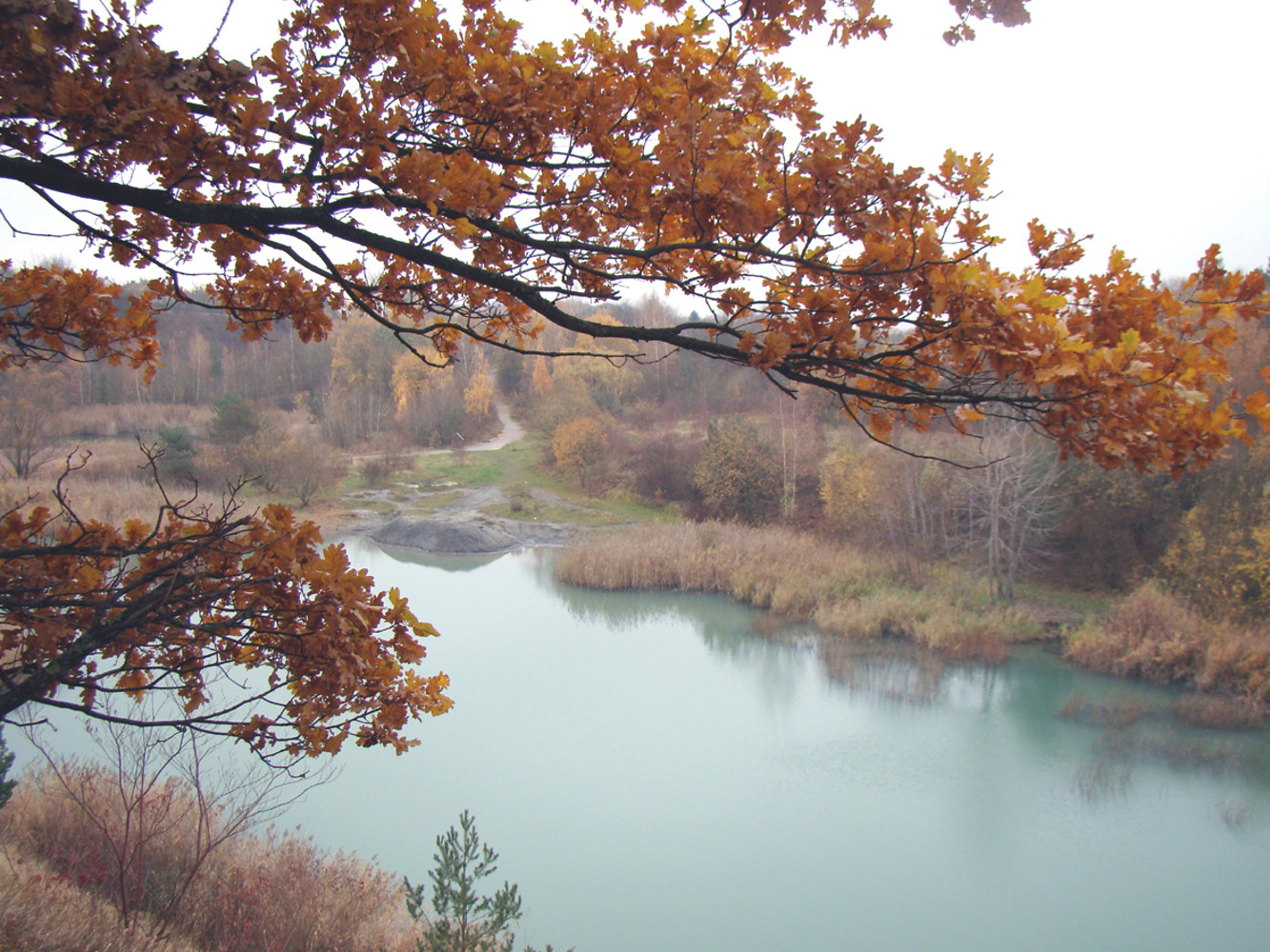 Marloffsteiner Tongrube im Herbst &ndash;  (VGN &copy;&nbsp;VGN GmbH)