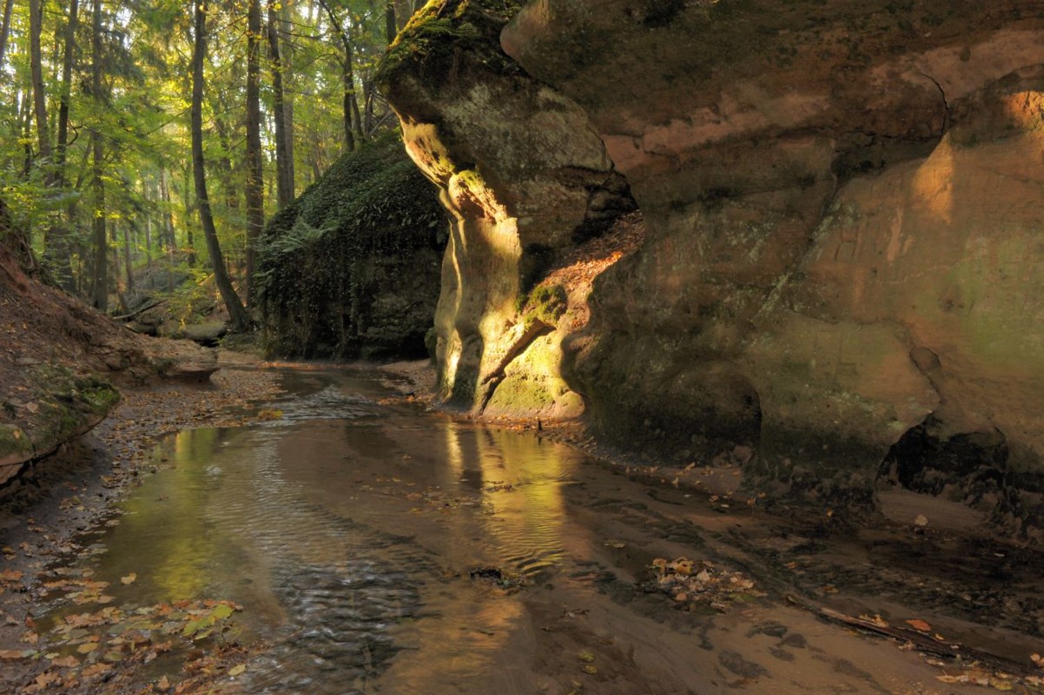 Kraxeln in der verwunschenen Bitterbachschlucht. &ndash;  (Bernd Hölzel &copy;&nbsp;Nürnberger Land Tourismus)