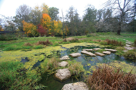 Wassertrittsteine am Erlebnispfad &ndash; (02.08.2017, Hr. Mlnarik - Stadt Nürnberg &copy;&nbsp;Hr. Mlnarik - Stadt Nürnberg)
