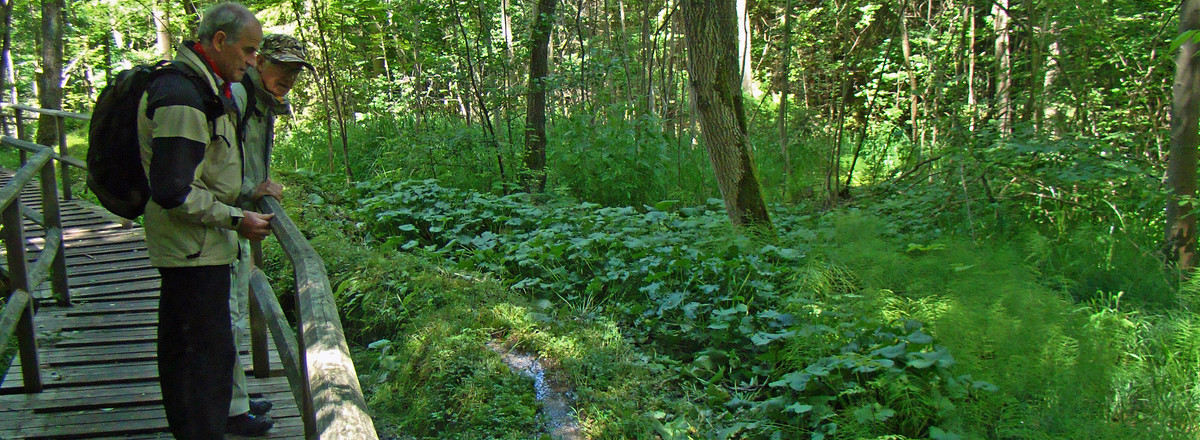 An der Steinernen Rinne &ndash;  (28.09.2015, VGN &copy;&nbsp;VGN GmbH)