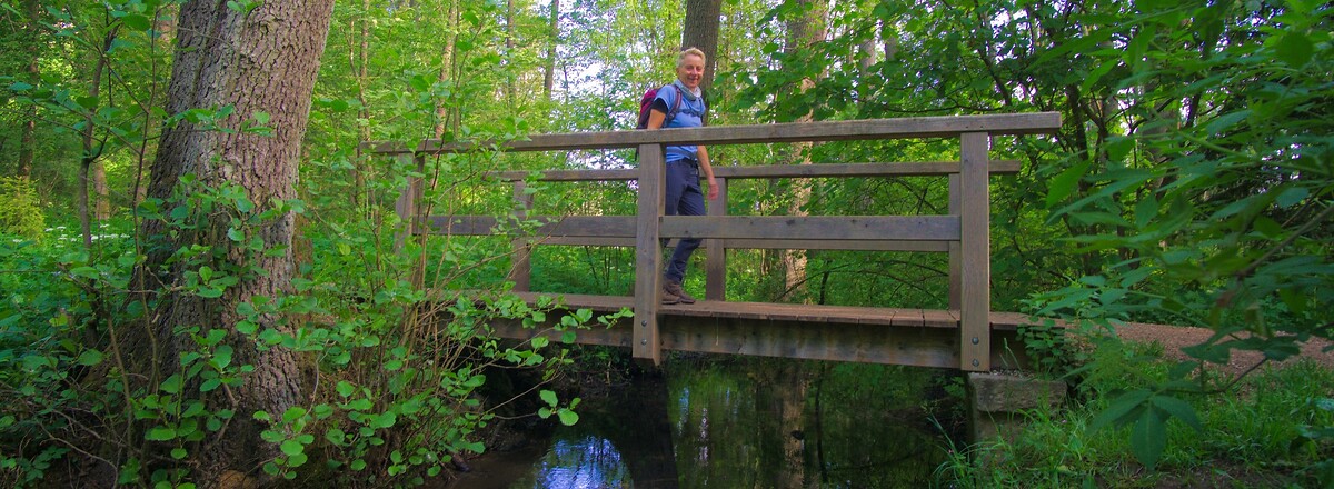 Brücke im Wald &ndash;  (23.05.2020, U. Büscher &copy;&nbsp;VGN GmbH)