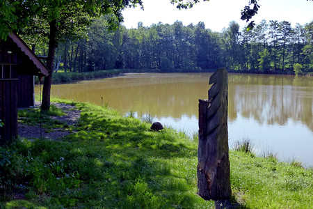 Am Frauenweiher &ndash; (09.06.2014, VGN &copy;&nbsp;VGN GmbH)