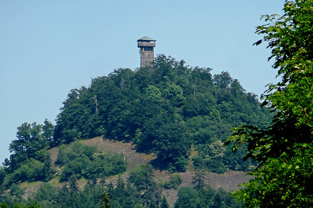 Aussichtsturm am Rauhen Kulm aus der Ferne &ndash; (09.06.2014, VGN &copy;&nbsp;VGN GmbH)