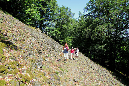 Blockhalde am Rauhen Kulm &ndash; (09.06.2014, VGN &copy;&nbsp;VGN GmbH)