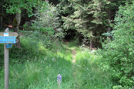 Wegweiser zum Rauhen Kulm &ndash; (17.06.2014, VGN &copy;&nbsp;VGN GmbH)
