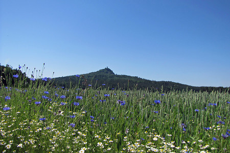 Frühlingswiesen und Rauher Kulm &ndash; (VGN &copy;&nbsp;VGN GmbH)