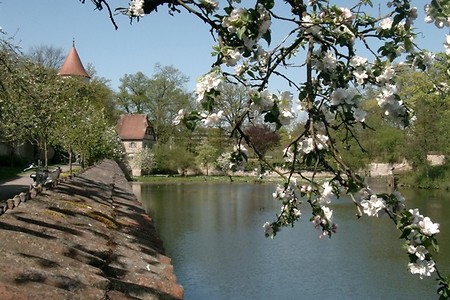 Rothenburger Weiher &ndash; (Touristik Service Dinkelsbühl &copy;&nbsp;Touristik Service Dinkelsbühl)