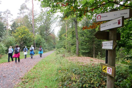 Weg zum Veitenstein &ndash; (09.02.2018, VGN &copy;&nbsp;VGN GmbH)