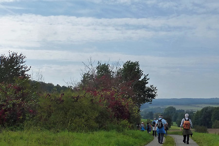 Bei Edelbrunn &ndash; (09.02.2018, VGN &copy;&nbsp;VGN GmbH)