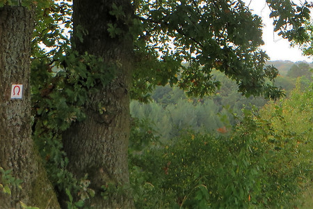 Unterwegs &ndash; (09.02.2018, VGN &copy;&nbsp;VGN GmbH)