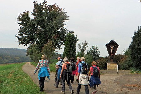 Richtung Pfaffenritt &ndash; (09.02.2018, VGN &copy;&nbsp;VGN GmbH)