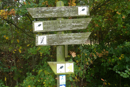 Richtungszeichen &ndash; (09.02.2018, VGN &copy;&nbsp;VGN GmbH)