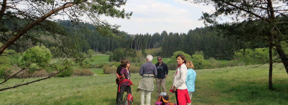 Talblick &ndash;  (07.02.2018, VGN &copy;&nbsp;VGN GmbH)