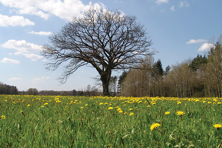 Landschaft von Vilseck &ndash; (Stadt Vilseck &copy;&nbsp;Stadt Vilseck)
