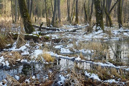 Landschaftsschutzgebiet &ndash; (23.03.2018, VGN &copy;&nbsp;VGN GmbH)