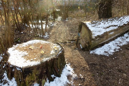 Futterstelle &ndash; (23.03.2018, VGN &copy;&nbsp;VGN GmbH)