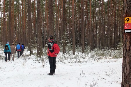 Abzweig &ndash; (23.03.2018, VGN &copy;&nbsp;VGN GmbH)