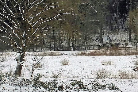 Richtung Schwarzachgrund &ndash; (23.03.2018, VGN &copy;&nbsp;VGN GmbH)