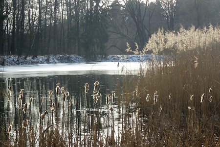 Krugsweiher &ndash; (23.03.2018, VGN &copy;&nbsp;VGN GmbH)