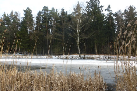 Winter an einem der Krugsweiher &ndash; (23.03.2018, VGN &copy;&nbsp;VGN GmbH)