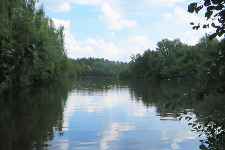 Der Jägersee im Sommer &ndash; (30.07.2018, VGN &copy;&nbsp;VGN GmbH)