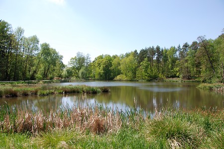Frühling an den Krugsweihern &ndash; (23.03.2018, VGN &copy;&nbsp;VGN GmbH)