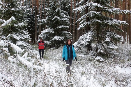 Winterlicher Pfad &ndash; (23.03.2018, VGN &copy;&nbsp;VGN GmbH)