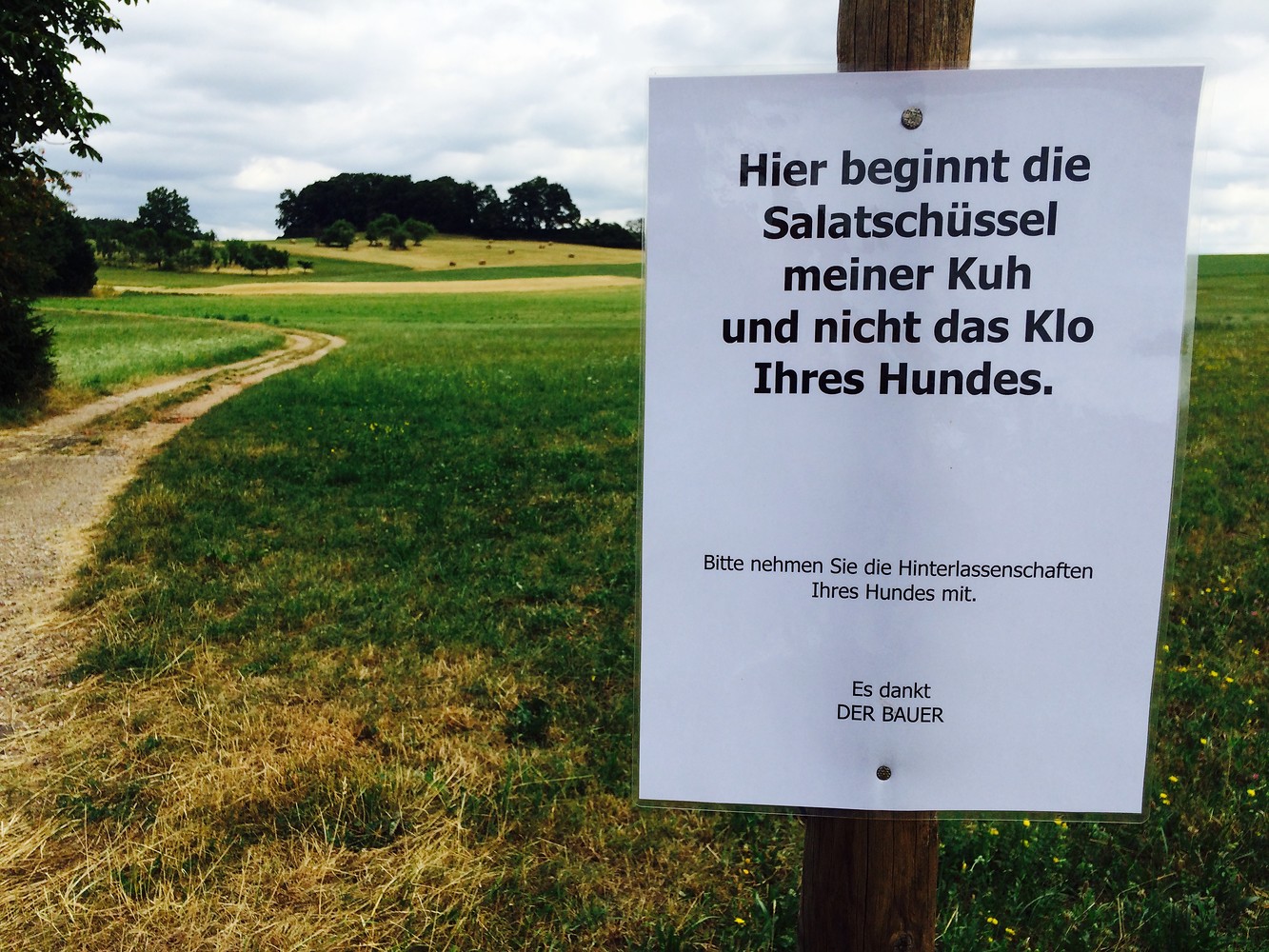 Salatschüssel &ndash;  (01.10.2015, VGN &copy;&nbsp;VGN GmbH)