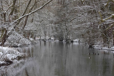 Pegnitztal Ost Winter &ndash; (12.01.2017, VGN &copy;&nbsp;VGN GmbH)