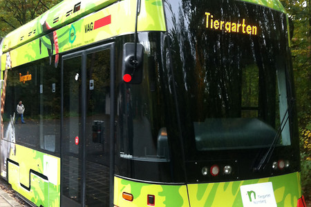 Tiergartenstraßenbahn &ndash; (12.01.2017, VGN &copy;&nbsp;VGN GmbH)