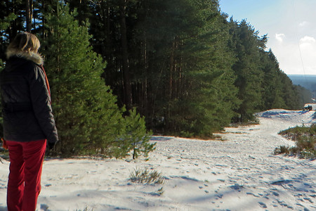 Blick vom Klingenberg &ndash; (12.01.2017, VGN &copy;&nbsp;VGN GmbH)
