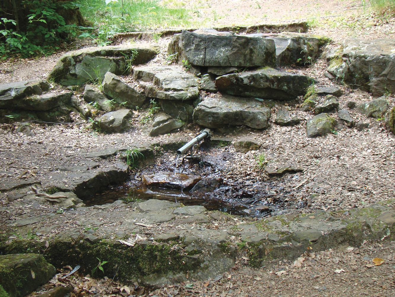 Rotmainquelle
