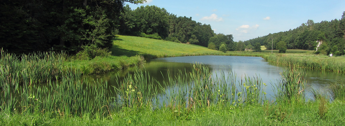 Steinmühle &ndash;  (Rück &copy;&nbsp;Rück)