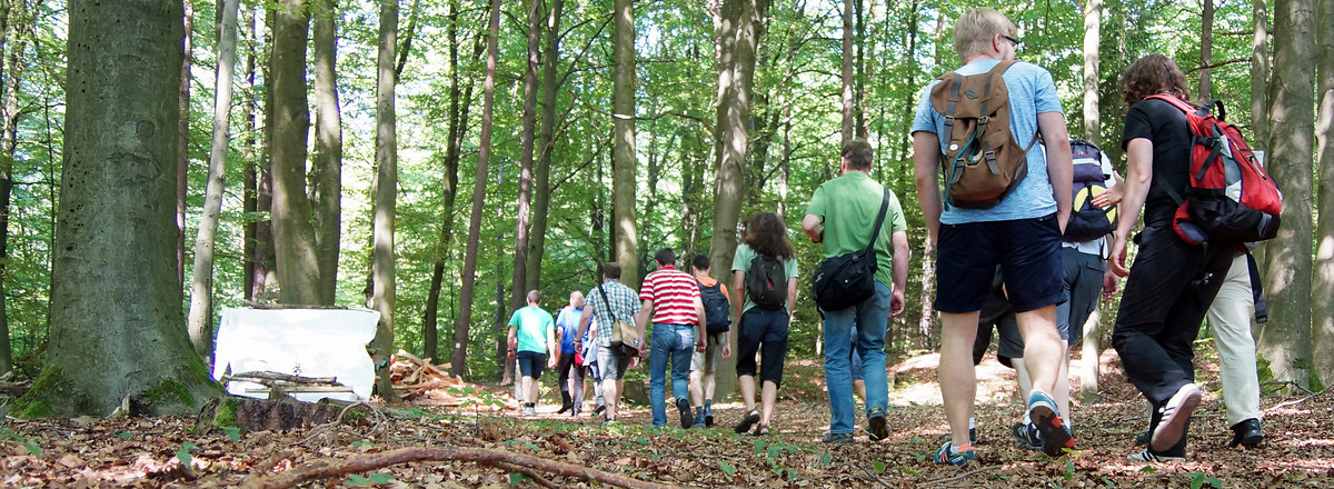 Im Wald unterwegs &ndash;  (24.07.2014, VGN &copy;&nbsp;VGN GmbH)